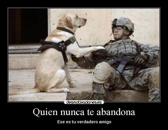 Quien nunca te abandona -