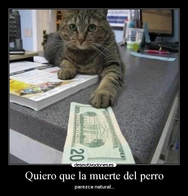 Quiero que la muerte del perro -