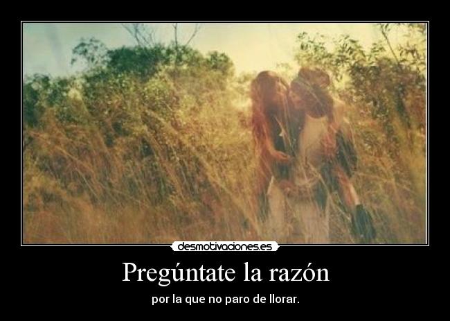 carteles pachusdefresa gilipollas cambiando tema estan poniendo los cuernos lol desmotivaciones