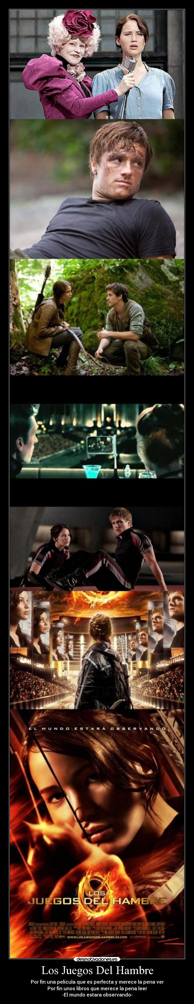 carteles los juegos del hambre desmotivaciones