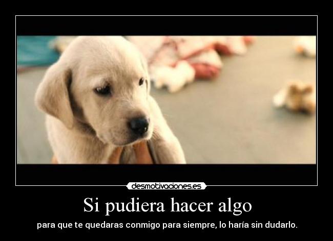 carteles quedate desmotivaciones