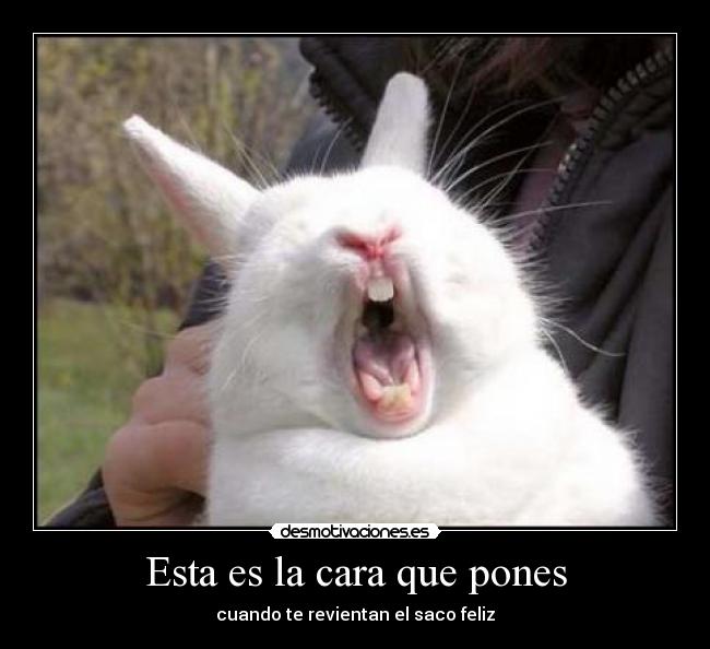 Esta es la cara que pones - cuando te revientan el saco feliz