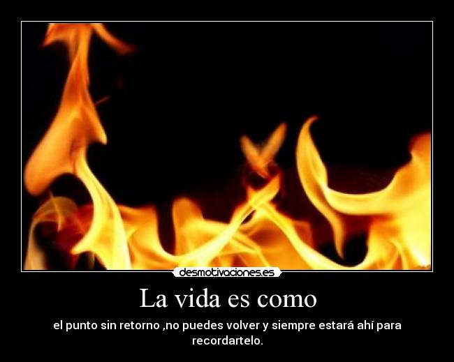 carteles vida vida desmotivaciones