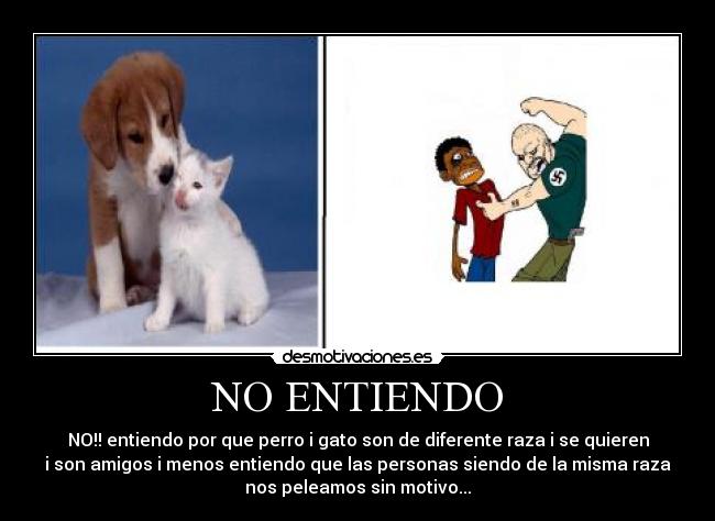 NO ENTIENDO - NO!! entiendo por que perro i gato son de diferente raza i se quieren
i son amigos i menos entiendo que las personas siendo de la misma raza
nos peleamos sin motivo...