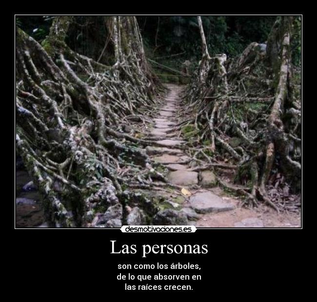 carteles infancia preadolescencia adolescencia desmotivaciones