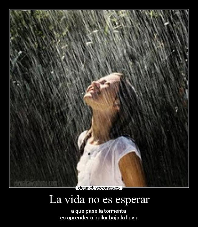 carteles vida mary desmotivaciones