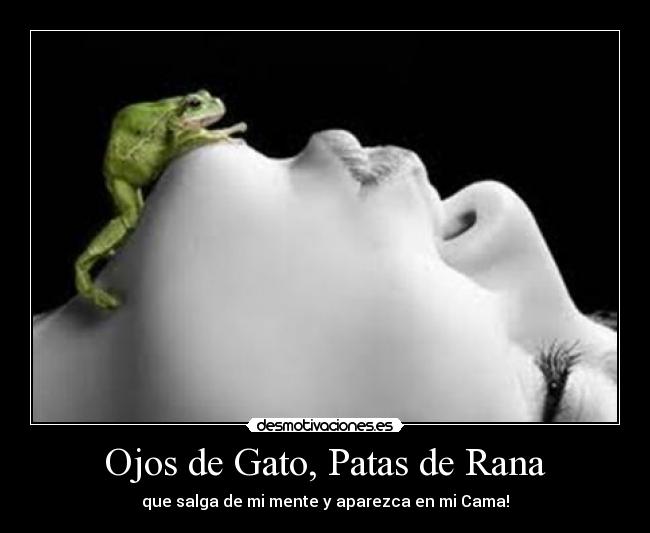 Ojos de Gato, Patas de Rana - que salga de mi mente y aparezca en mi Cama!