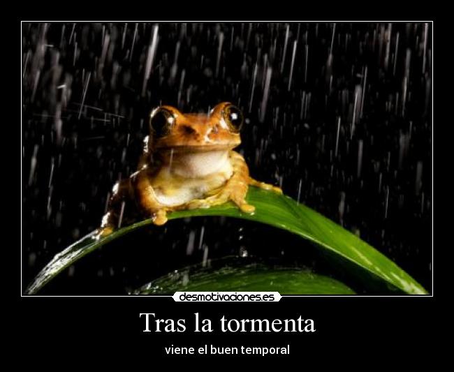 Tras la tormenta - viene el buen temporal