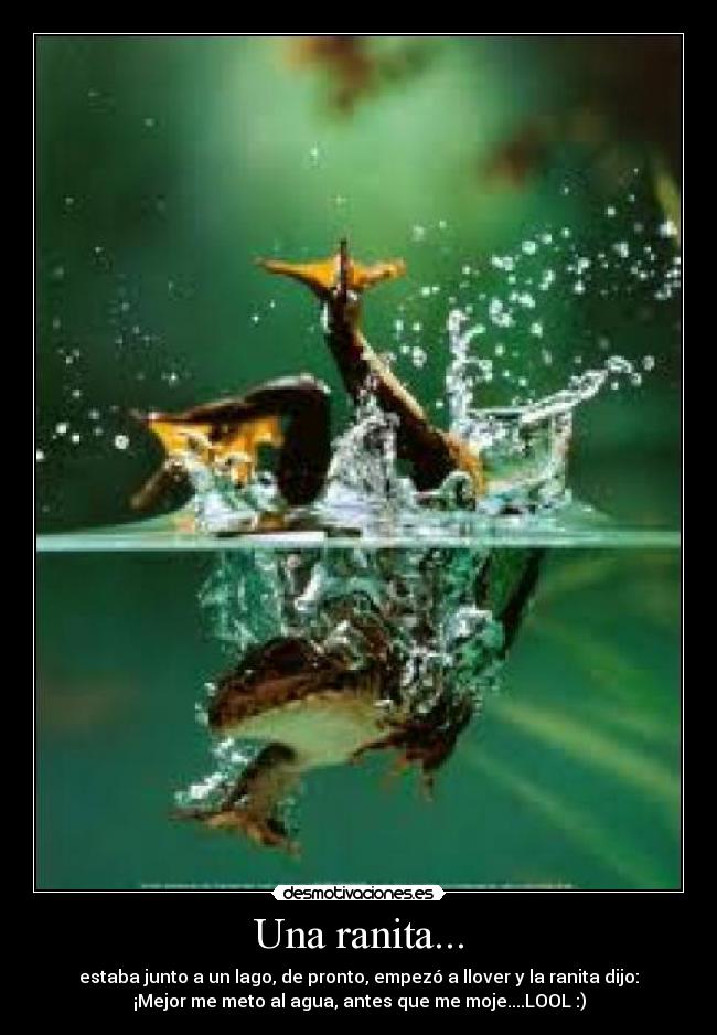Una ranita... -