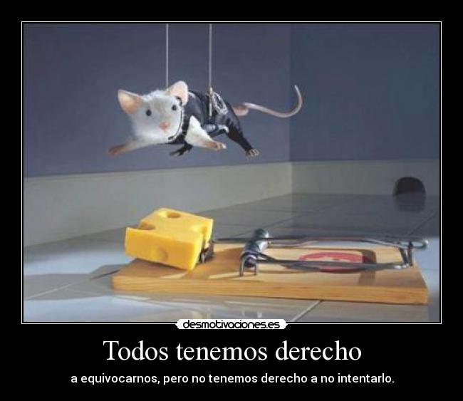 Todos tenemos derecho - a equivocarnos, pero no tenemos derecho a no intentarlo.