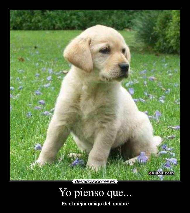 carteles solo quiero llegar principal desmotivaciones