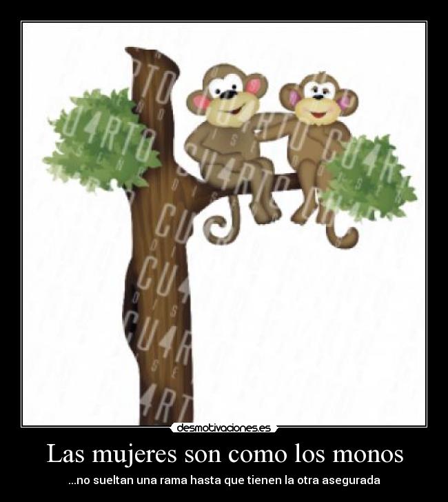 Las mujeres son como los monos - ...no sueltan una rama hasta que tienen la otra asegurada