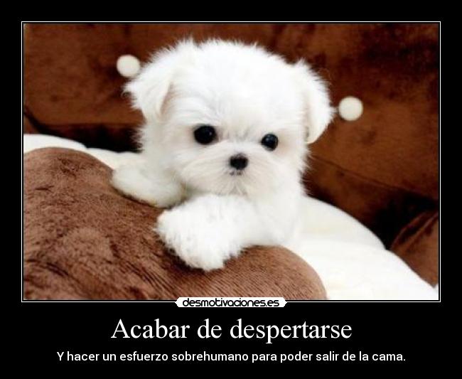 Acabar de despertarse -