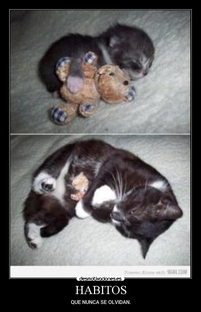 HABITOS - QUE NUNCA SE OLVIDAN.