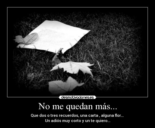 No me quedan más... - Que dos o tres recuerdos, una carta , alguna flor...
Un adiós muy corto y un te quiero...
