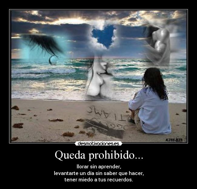 Queda prohibido... - llorar sin aprender,
levantarte un día sin saber que hacer,
tener miedo a tus recuerdos.