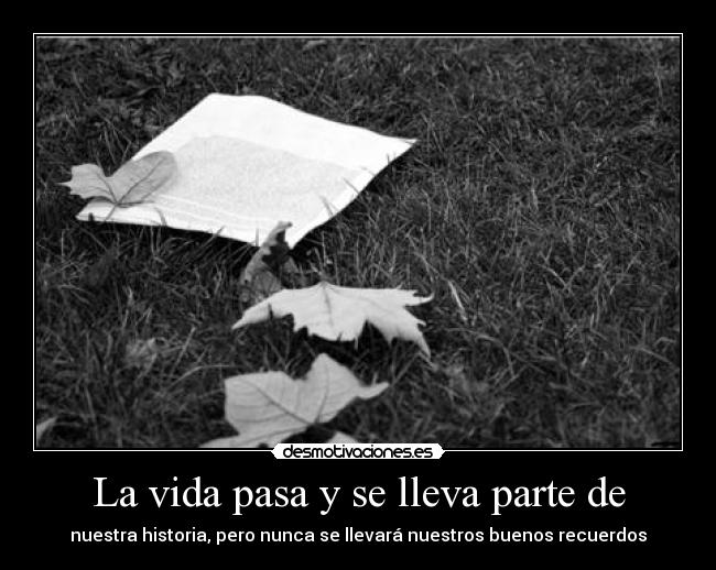 carteles vida danygp amor desamor desmotivaciones