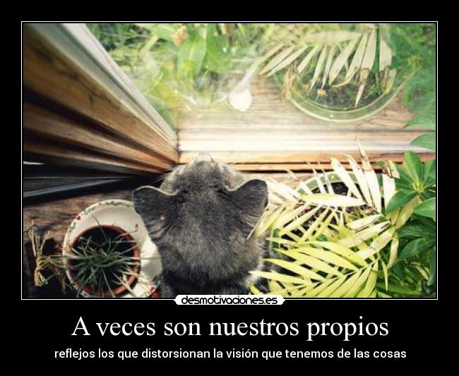 A veces son nuestros propios - reflejos los que distorsionan la visión que tenemos de las cosas