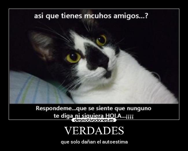 VERDADES -