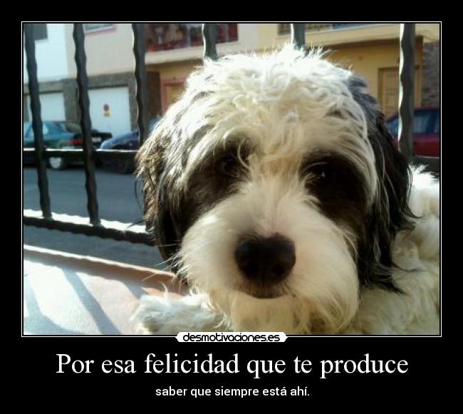 Por esa felicidad que te produce - saber que siempre está ahí.