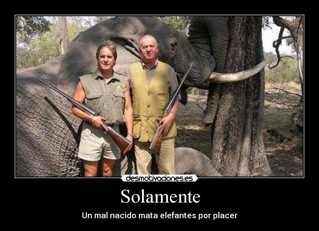 Solamente -