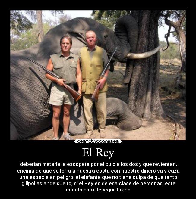 El Rey - deberían meterle la escopeta por el culo a los dos y que revienten,
encima de que se forra a nuestra costa con nuestro dinero va y caza
una especie en peligro, el elefante que no tiene culpa de que tanto
gilipollas ande suelto, si el Rey es de esa clase de personas, este
mundo esta desequilibrado