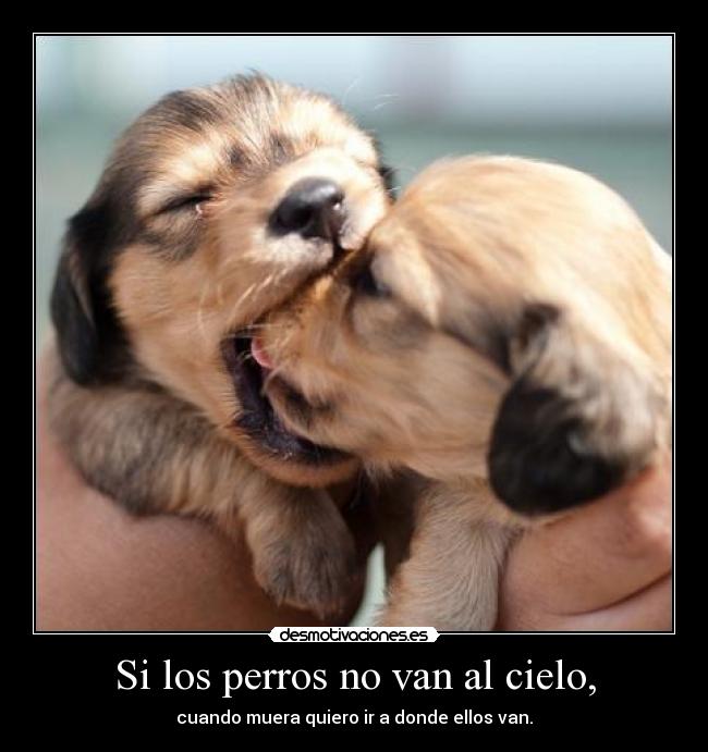 Si los perros no van al cielo, -