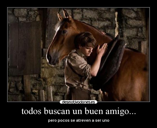 todos buscan un buen amigo... - pero pocos se atreven a ser uno