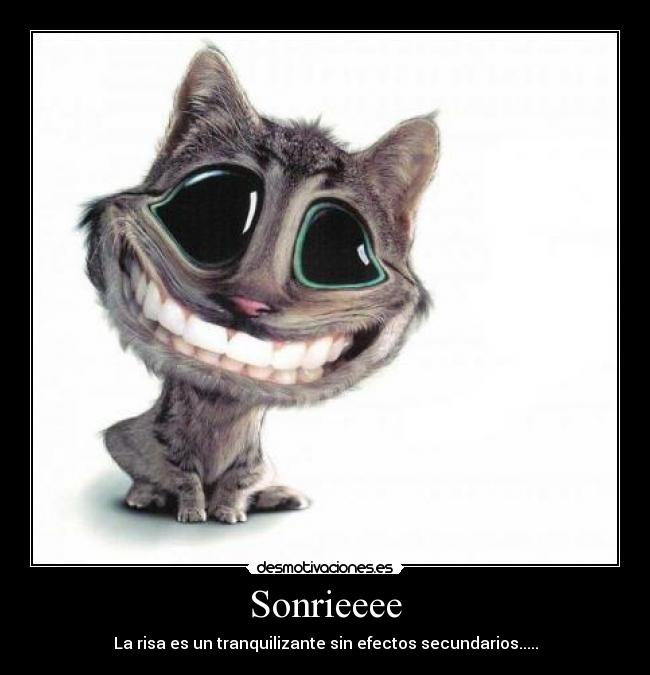 Sonrieeee - La risa es un tranquilizante sin efectos secundarios.....