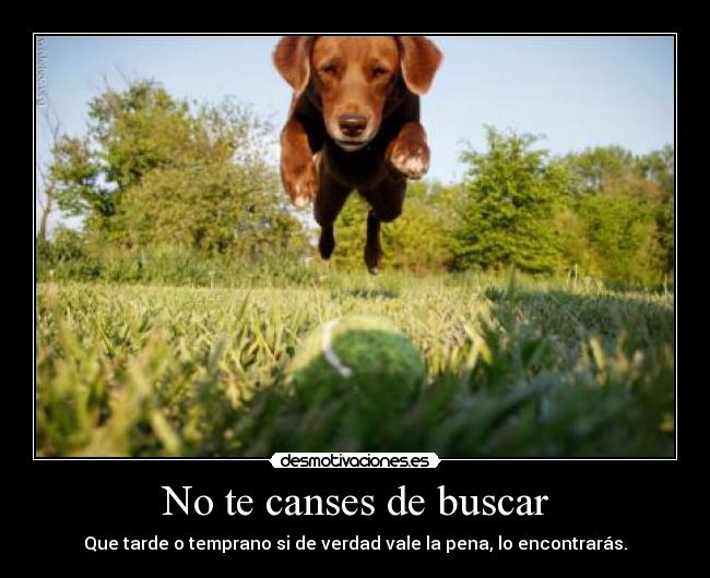 No te canses de buscar -