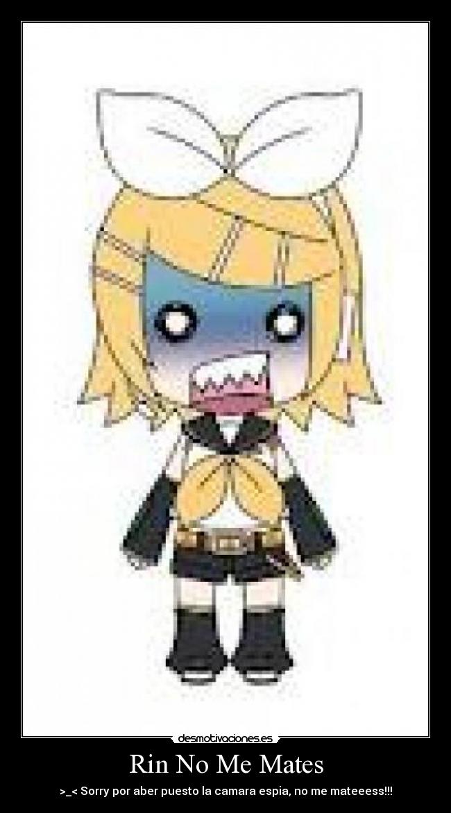 Rin No Me Mates - >_< Sorry por aber puesto la camara espia, no me mateeess!!!
