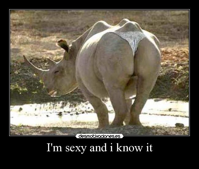 Im sexy and i know it - 
