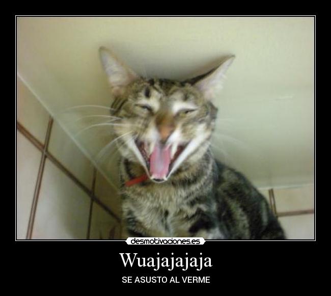 Wuajajajaja - SE ASUSTO AL VERME
