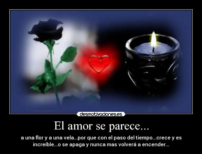 El amor se parece... - a una flor y a una vela...por que con el paso del tiempo...crece y es
increíble...o se apaga y nunca mas volverá a encender...♥