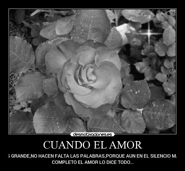 CUANDO EL AMOR - ES GRANDE,NO HACEN FALTA LAS PALABRAS,PORQUE AUN EN EL SILENCIO MAS
COMPLETO EL AMOR LO DICE TODO...