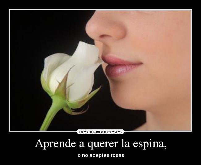 carteles emma16 desmotivaciones