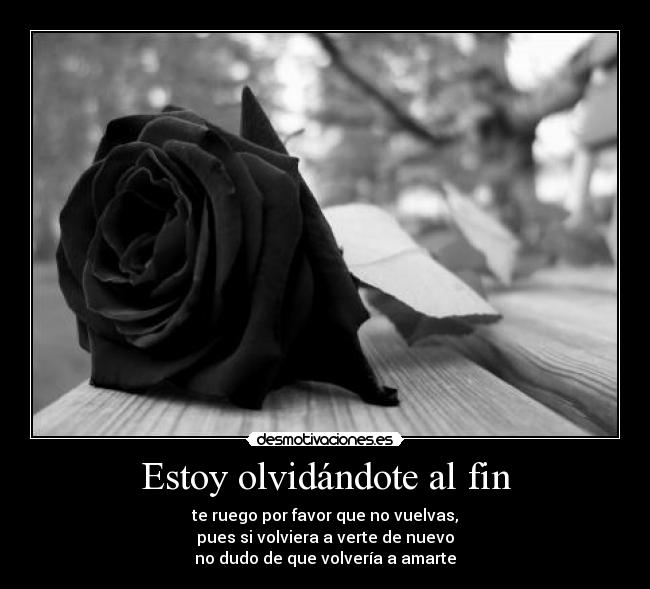 carteles amor olvido desmotivaciones