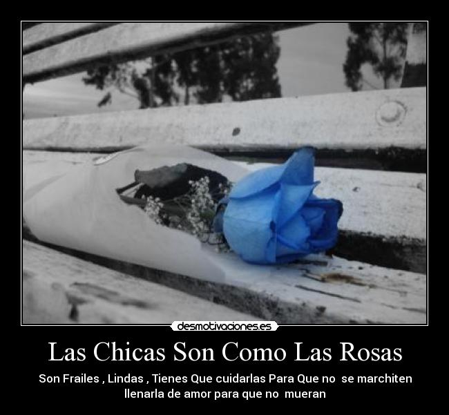 Las Chicas Son Como Las Rosas -