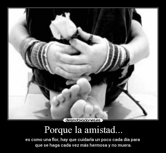 Porque la amistad... - es como una flor, hay que cuidarla un poco cada día para 
que se haga cada vez más hermosa y no muera.
