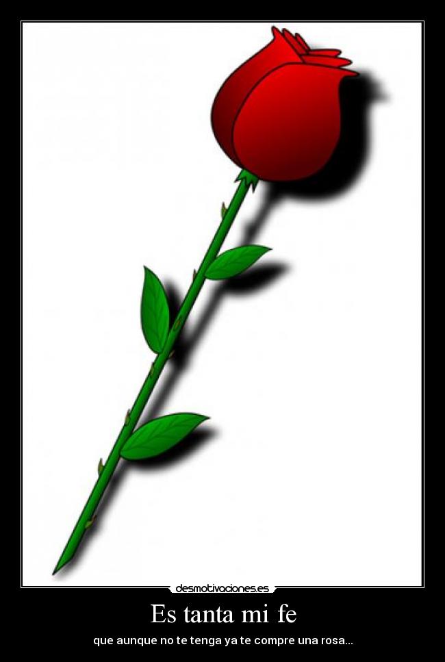 Es tanta mi fe - que aunque no te tenga ya te compre una rosa...