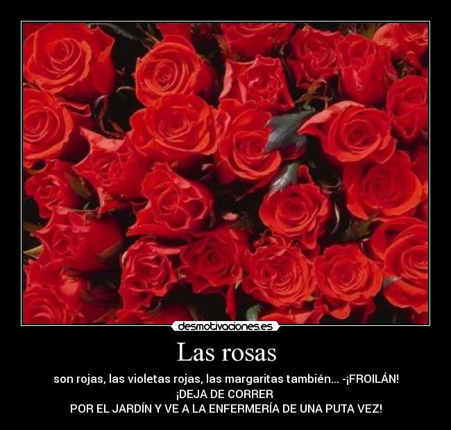 carteles rosas froilan jardin desmotivaciones