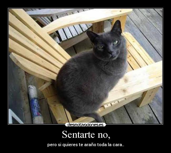Sentarte no, - pero si quieres te araño toda la cara..
