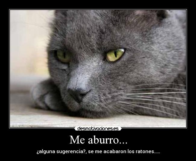 Me aburro... - ¿alguna sugerencia?, se me acabaron los ratones.....