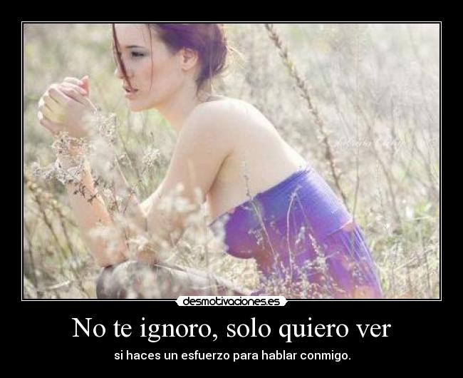 No te ignoro, solo quiero ver -