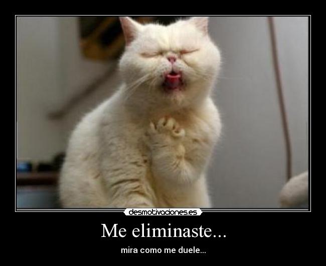 Me eliminaste... - mira como me duele...
