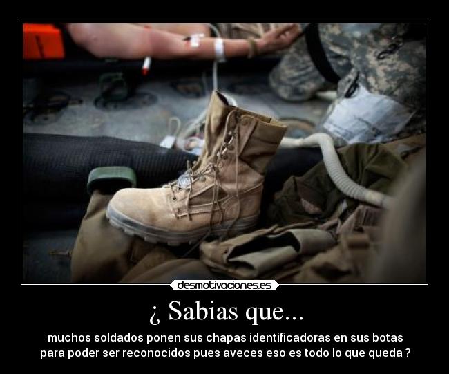 carteles que cosas desmotivaciones