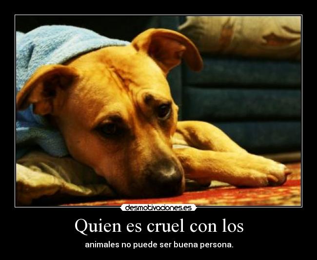 Quien es cruel con los - animales no puede ser buena persona.