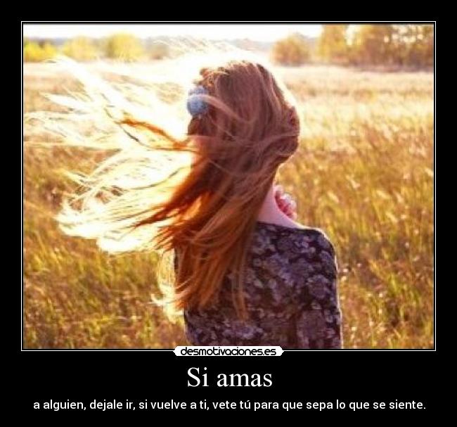 Si amas -