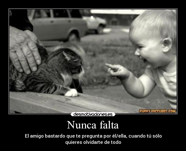 Nunca falta -