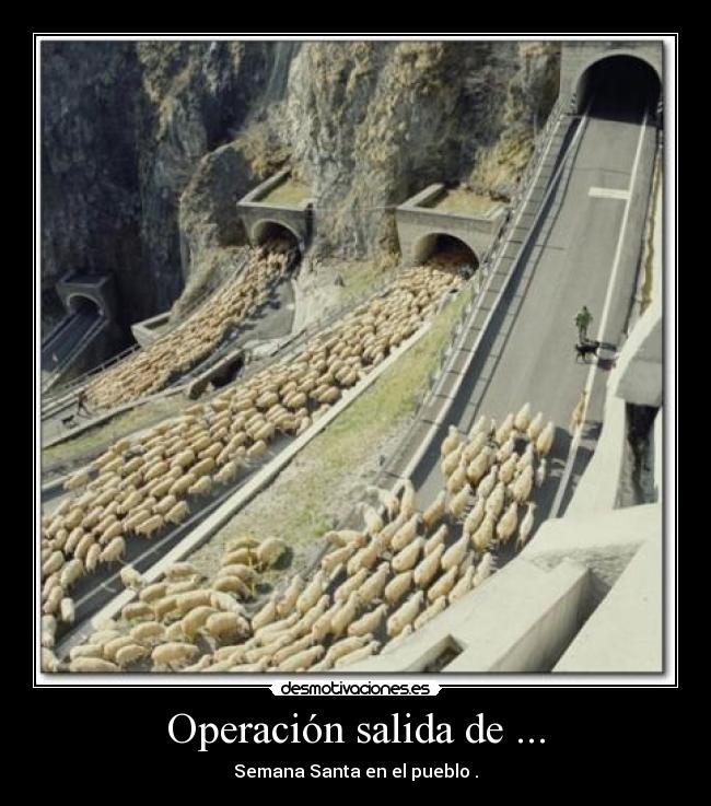 carteles borjaabraham desmotivaciones